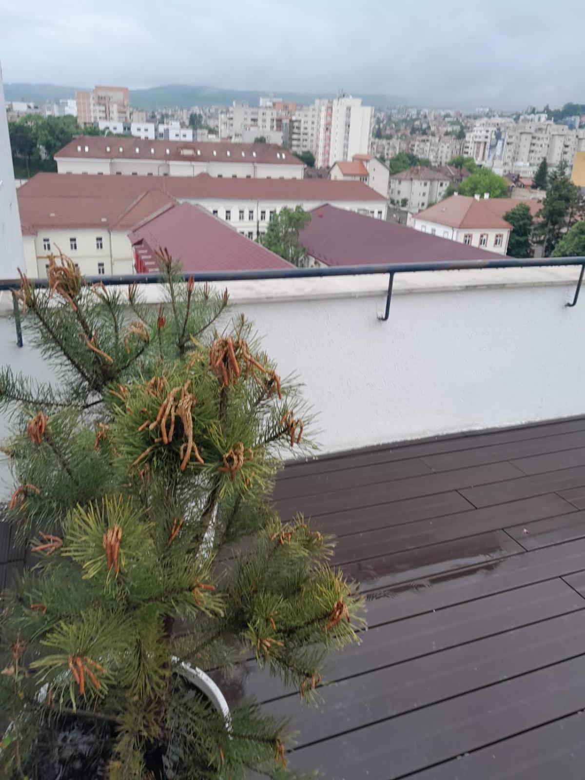 Cristinco Panoramic Apartment Клуж-Напока Екстериор снимка